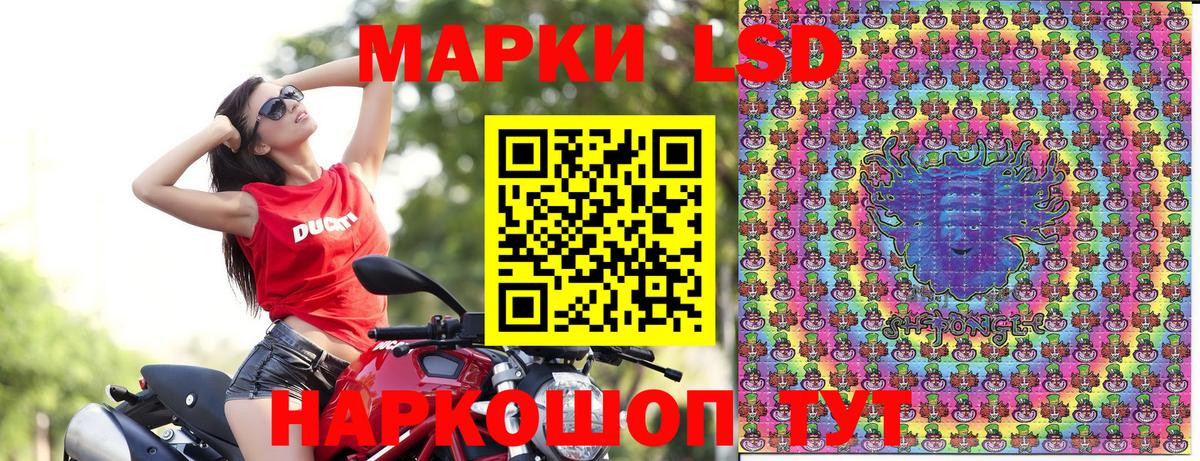 МДМА  Ачхой-Мартан  A-PVP СК   МЕФ кристаллы  ГАШ  ГАШИШ  КОКАИН  Вход с VPN 