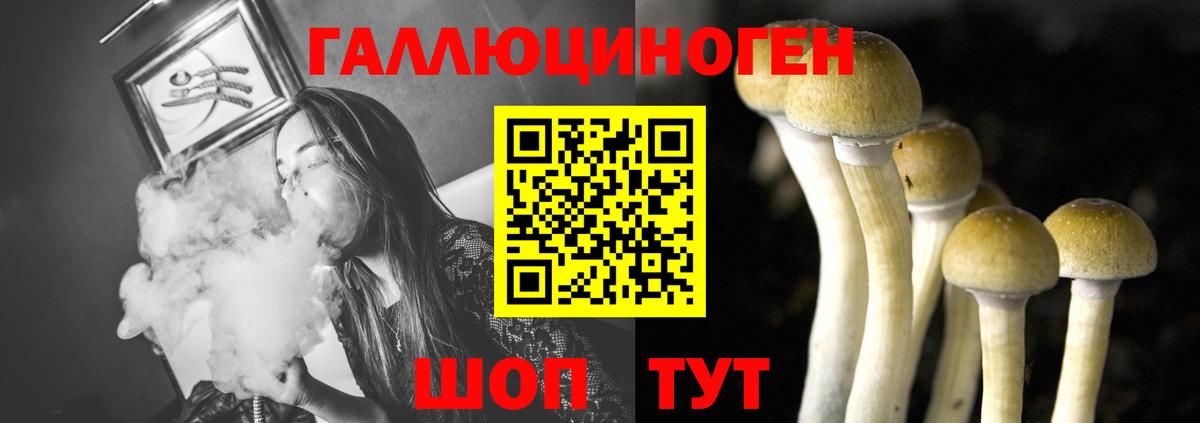 где найти наркотики  Галлюциногенные грибы ЛСД  Вход с VPN  Псилоцибиновые грибы мицелий  Ачхой-Мартан 