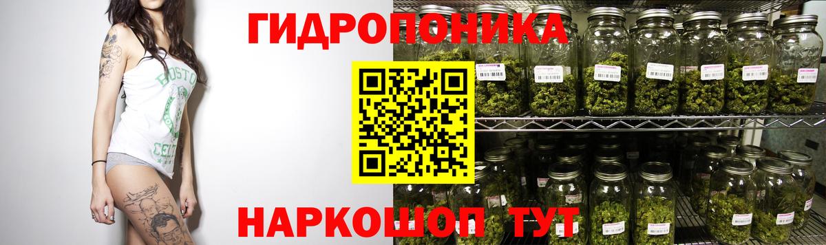 Канабис план  Шишки марихуана THC 21%  Ачхой-Мартан  Вход с VPN 